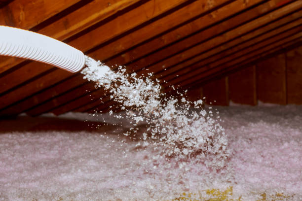 Professional Insulation Contractor in Bellevue, IA