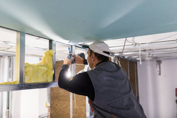 Best Residential Insulation in Bellevue, IA
