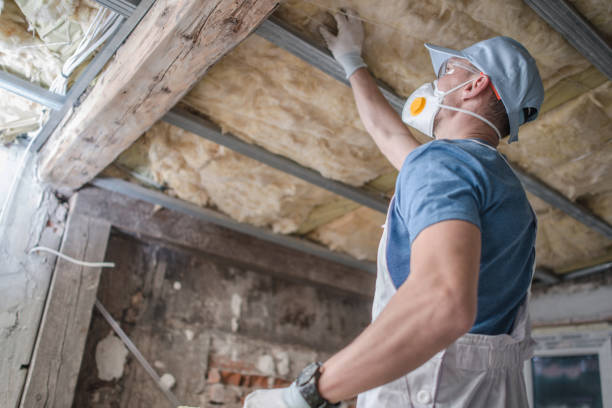 Best Geographic-Specific Insulation Services in Bellevue, IA